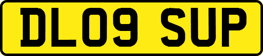 DL09SUP