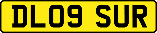 DL09SUR