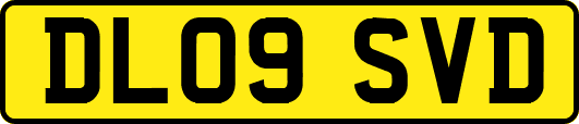 DL09SVD