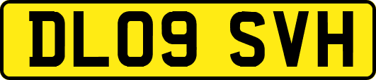 DL09SVH