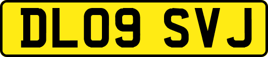DL09SVJ