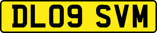 DL09SVM