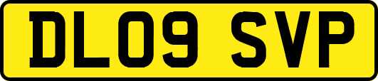 DL09SVP