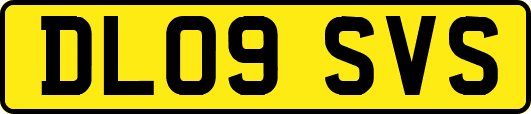 DL09SVS