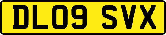 DL09SVX