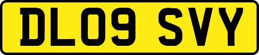 DL09SVY
