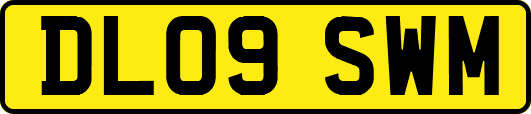 DL09SWM
