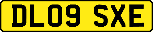 DL09SXE