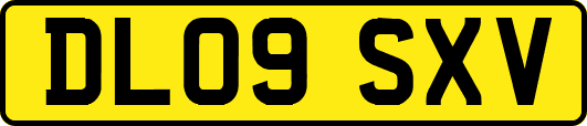 DL09SXV