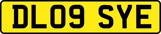 DL09SYE