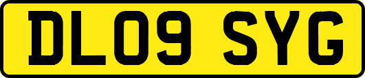 DL09SYG