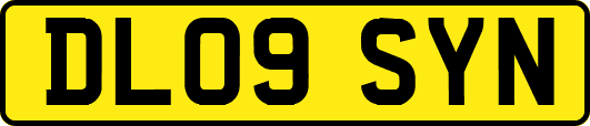 DL09SYN