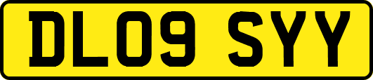 DL09SYY