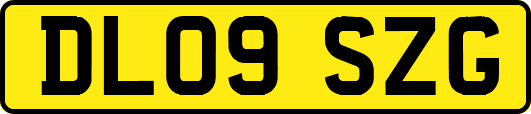 DL09SZG