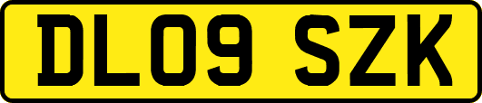 DL09SZK