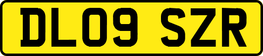 DL09SZR