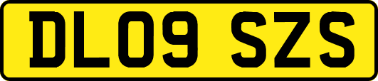 DL09SZS