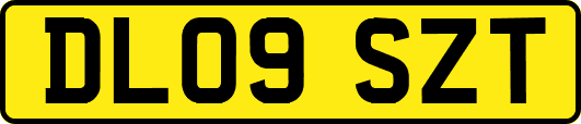 DL09SZT