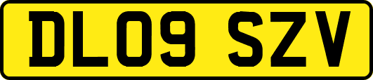 DL09SZV