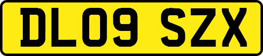 DL09SZX