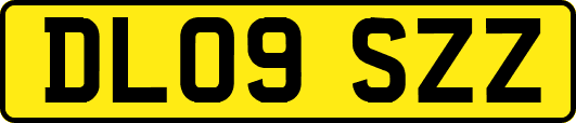 DL09SZZ