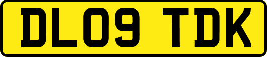DL09TDK