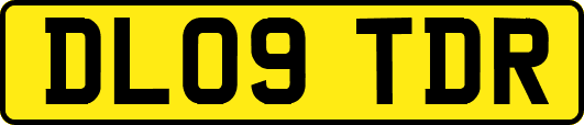 DL09TDR