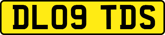 DL09TDS