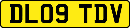 DL09TDV