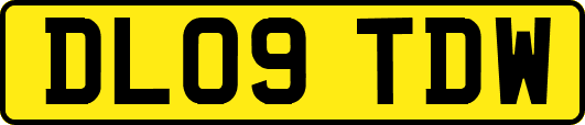 DL09TDW