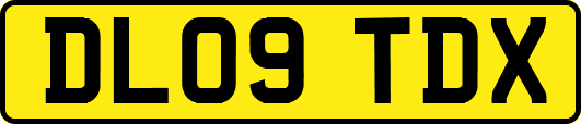 DL09TDX