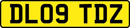 DL09TDZ