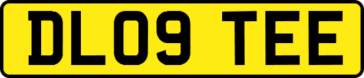 DL09TEE