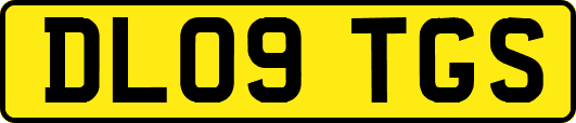 DL09TGS
