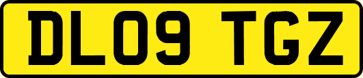 DL09TGZ