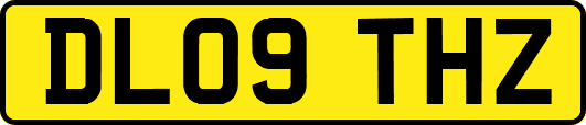 DL09THZ