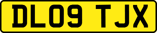 DL09TJX