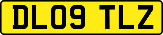 DL09TLZ
