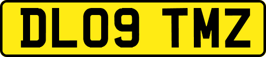 DL09TMZ