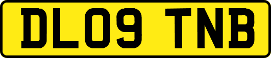 DL09TNB