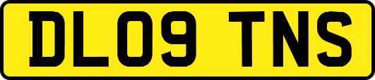 DL09TNS