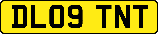DL09TNT