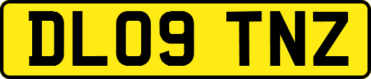 DL09TNZ