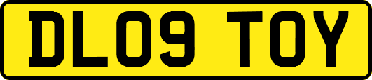 DL09TOY