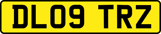 DL09TRZ