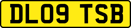 DL09TSB