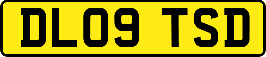 DL09TSD