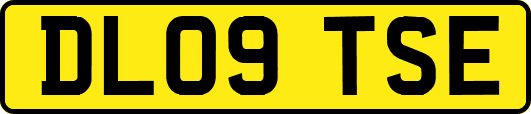 DL09TSE