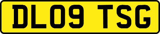 DL09TSG