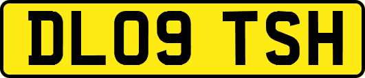 DL09TSH